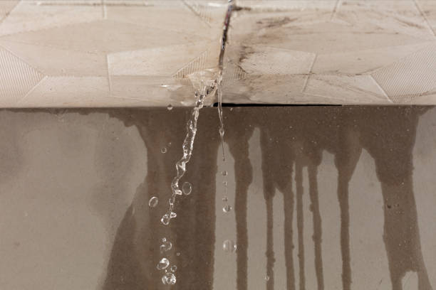 Professional Flood Damage Cleanup technician working in Auburndale, WI